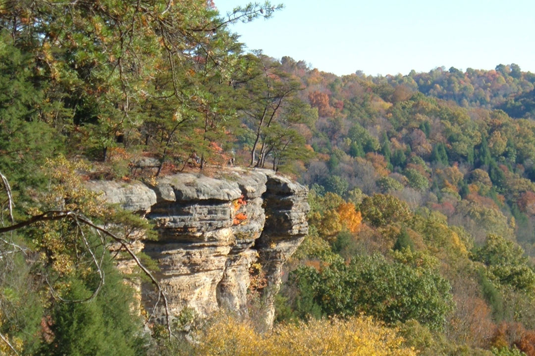 Photo of cliffs at Conkles Hollow.